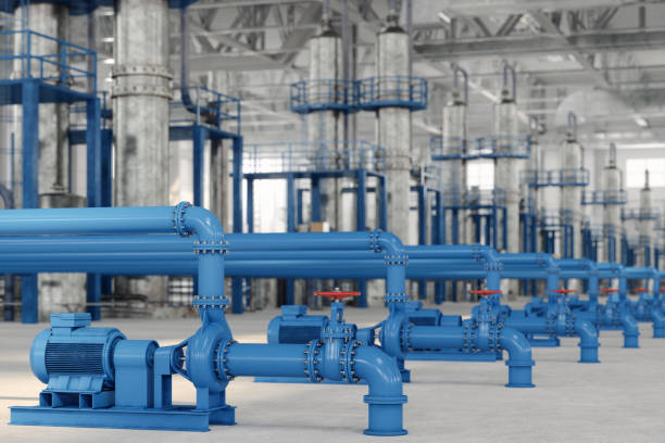 Best Sewer Line Repair  in Laurel, FL